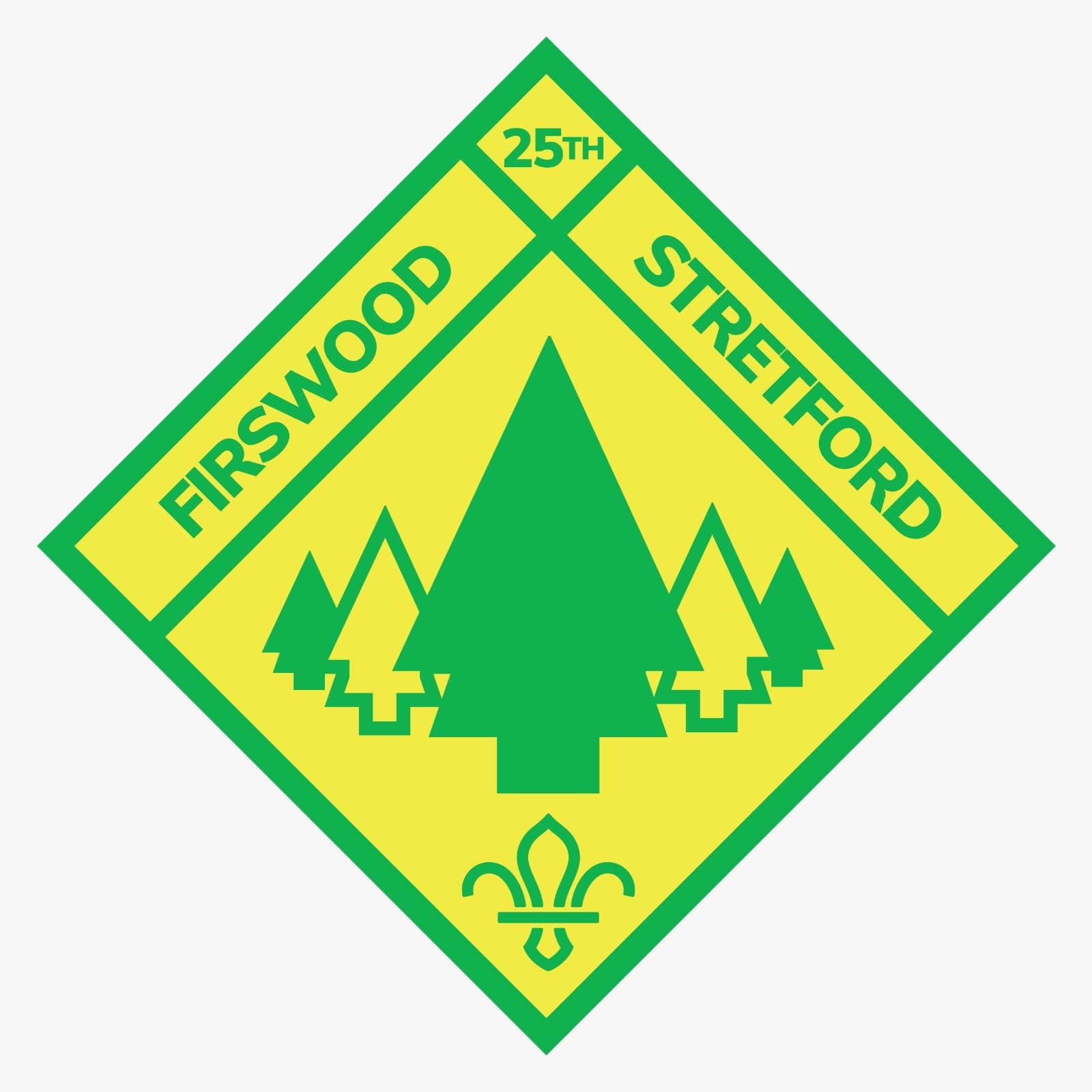 Introducing Firswood Scouts